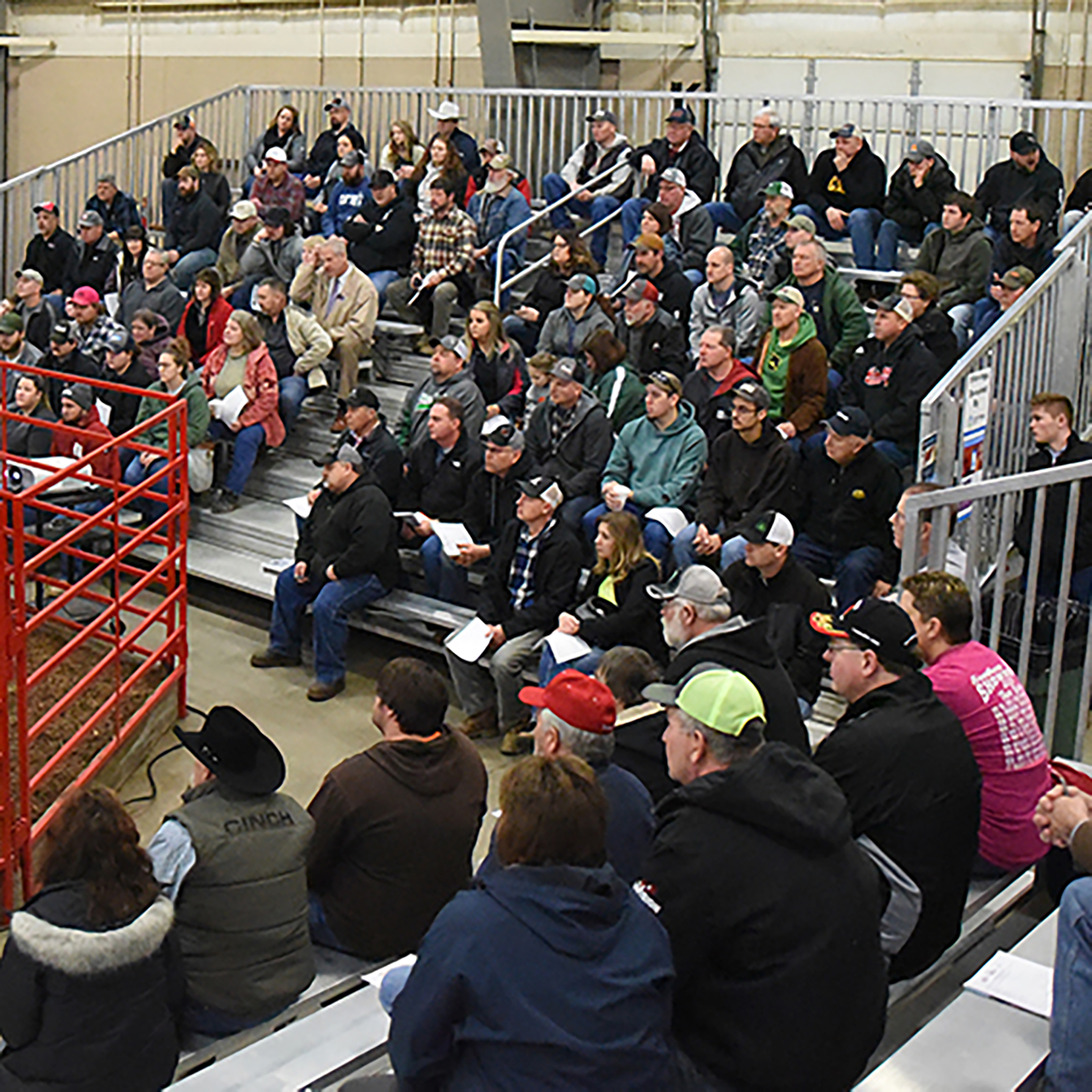 Ohio Beef Expo