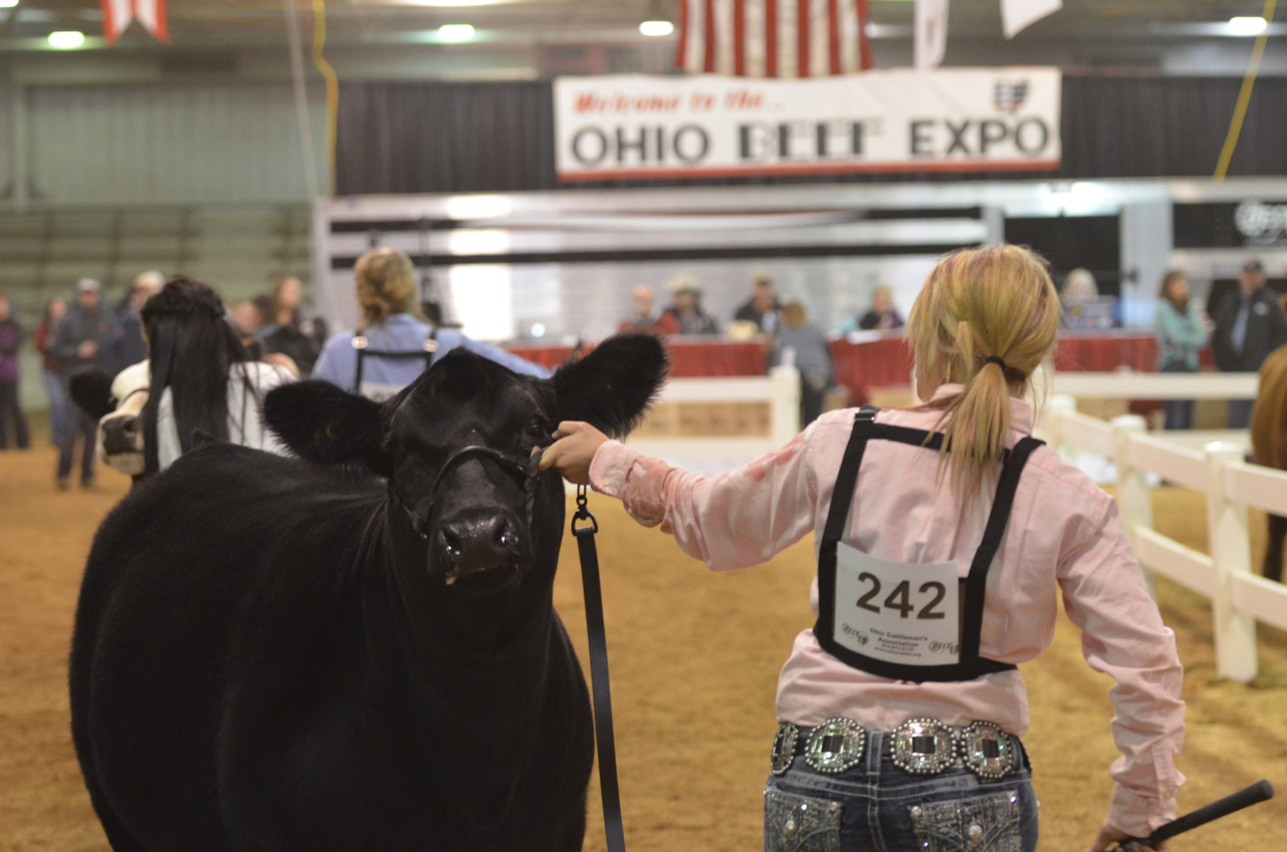 Ohio Beef Expo